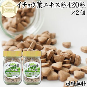 イチョウ葉 エキス粒 105g×2個 840粒 サプリ サプリメント いちょう葉 銀杏葉 無農薬 国産 業務用 送料無料 フラボノイド ギンコライド ポリフェノール プロアントシアニン タンニン お試し お