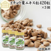 楽天市場】イチョウ乾燥葉の通販