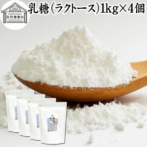  1kg×4 Ng[X IS  100 pE_[ ۑ Y Ɩp Tv g  _ rtBYX Pʋ voCIeBNX voCIeBNX ۊ  t[