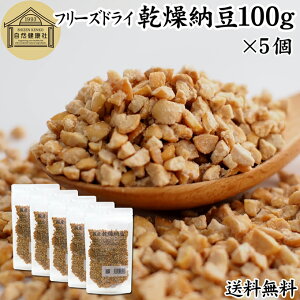 [ 100g×5 hC[ t[YhC Ђ [ ҂ Y 哤 100 ۑ Y  [Li[[ ibgELi[[ [ ӂ肩 Tv |A~ Xy~W 