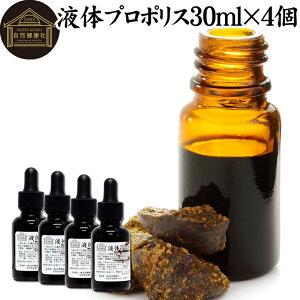 v|X t GLX 30ml×4 Tv Tvg uWY t{mCh A~m_ ~l r^~ X ~cE  ԕ L@_ GXe N} i j   