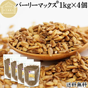 o[[}bNX 1kg×4 X[p[唞 H@ ͂ 100% X[p[t[h  ۑ Y G  Ɩp I[XgA J ς tN^ x[^OJ WX^g