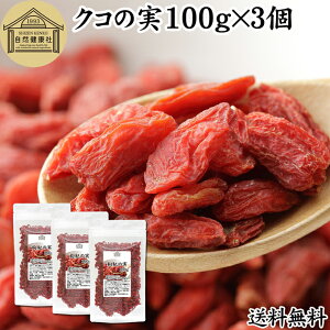 NR̎ 100g×3 ̎ mX̎ mXq NRV SWx[ goji berry Etx[ 100% ̎ NR̎ ۑ Y F Ɩp X[p[t[h hCt[c AWAXC