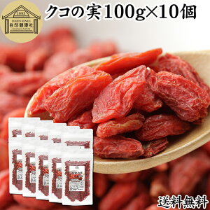 NR̎ 100g×10 ̎ mX̎ mXq NRV SWx[ goji berry Etx[ 100% ̎ NR̎ ۑ Y F Ɩp X[p[t[h hCt[c AWAXC