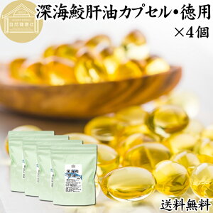 [CL̖ JvZ p 300g×4 3000 [CL GLX [CU T ̖ XN XNA  ACU IC Tv Tvg  NHi h{⏕Hi Ɩp ۑ Y