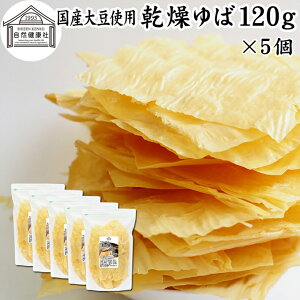  120g×5 t Y 哤 100% ۑ Y   z X[v t Γ Έ t p e  Ɩp  t hC ς 