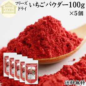 いちごパウダー 100g×5個 フリーズドライ いちご パウダー イチゴパウダー 苺パウダー 保存料 無添加 業務用 製菓用 ストロベリーパウダー 苺 100% ストロベリー パウダー 菓子 材料 菓子材料 製菓材料 お菓子 洋菓子 パン パン材料 スイーツ 和菓子 製菓 製パン 材料