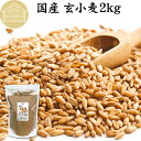 玄小麦 2kg 全粒小麦 北海道産 国産 きたほなみ 100% 業務用 保存料 無添加 製粉前 未精白 小麦粒 胚乳 胚芽 小麦 ふすま フスマ ブラン 食物繊維 ビタミン B1 B6 E カリウム マグネシウム 麦ごはん 麦ご飯 雑穀 ごはん 自然 美容 健康 全粒粉に 製菓 材料 パン 生地 穀物