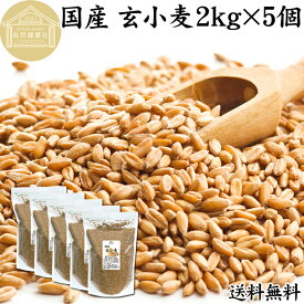 玄小麦 2kg×5個 全粒小麦 北海道産 国産 きたほなみ 無添加 100% 業務用 送料無料 製粉前 未精白 小麦粒 胚乳 胚芽 小麦 ふすま フスマ ブラン 食物繊維 ビタミン B1 B6 E マグネシウム 麦ごはん 麦ご飯 雑穀 ごはん 自然 食品 美容 健康 全粒粉に 製菓 材料 製パン 生地 穀