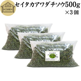 セイタカアワダチソウ 500g×3個 乾燥 国産 100% 無農薬 無添加 ゴールデンロッド ポリフェノール クロロゲン酸 健康茶 入浴剤 風呂 お風呂 薬草茶 薬膳茶 材料 食物繊維 農薬不使用 美肌 妊婦 妊活 温活 入浴 健康 美容 薬草 ハーブ 自然健康社 手摘み 雑草 価値 人気 自然