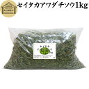 セイタカアワダチソウ 1kg 乾燥 国産 100% 無農薬 無添加 ゴールデンロッド ポリフェノール クロロゲン酸 健康茶 入浴…