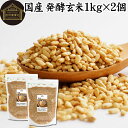 発酵玄米 1kg×2個 酵素玄米 玄米麹 酵素ごはん 酵素 玄米 ごはん ご飯 麹菌 簡単 かんたん 手軽 国産 100% 保存料 無添加 業務用 大容量 ヘルシー ダイエット 美容 健康 おにぎり あずき 小豆 黒米 赤米 雑穀米 雑穀ごはん 料理 スープ 雑炊 リゾット お粥 おかゆ 常温保存