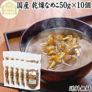 Ȃ߂ 50g×10  Ȃ߂ _ ̂ iR Y Y 100  hC Ɩp ۑ Y  LmR Ȃ߂` ̂` Ȃ߂  \o ǂ X`  pX