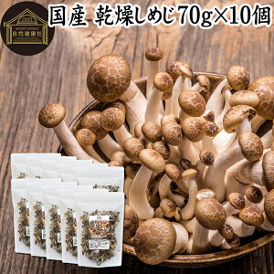 ߂ 70g×10  ߂  VW _  ̂ Y Y  hC 100 Ɩp ۑ Y  LmR ݂`  ̂` pX^ uߕ ؏` G ϕ `
