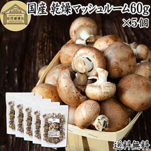 }bV[ 60g×5  }bV[ hC   ̂ _ Y Y 100 ۑ Y Ɩp  LmR X[v pX^ ]bg sU  ݂`  