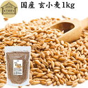 玄小麦 1kg 全粒小麦 北海道産 国産 きたほなみ 100% 業務用 保存料 無添加 製粉前 未精白 小麦粒 胚乳 胚芽 小麦 ふすま フスマ ブラン 食物繊維 ビタミン B1 B6 E カリウム マグネシウム 麦ごはん 麦ご飯 雑穀 ごはん 自然 美容 健康 全粒粉に 製菓 材料 パン 生地 穀物