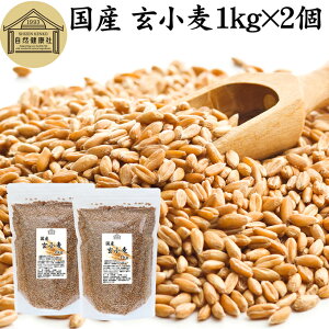  1kg×2 S kCY Y قȂ 100% Ɩp ۑ Y O      ӂ tX} u H@ r^~ B1 B6 E JE }OlVE 