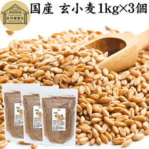  1kg×3 S kCY Y قȂ 100% Ɩp ۑ Y O      ӂ tX} u H@ r^~ B1 B6 E JE }OlVE 