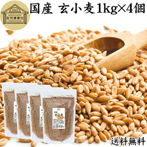  1kg×4 S kCY Y قȂ 100% Ɩp ۑ Y O      ӂ tX} u H@ r^~ B1 B6 E JE }OlVE 