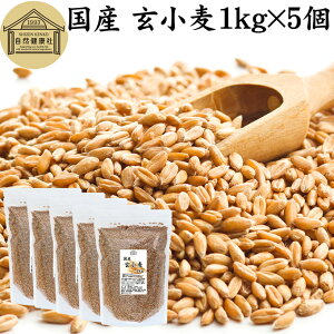  1kg×5 S kCY Y قȂ 100% Ɩp ۑ Y O      ӂ tX} u H@ r^~ B1 B6 E JE }OlVE 