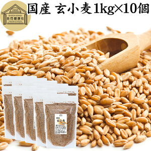 玄小麦 1kg×10個 全粒小麦 北海道産 国産 きたほなみ 100% 業務用 保存料 無添加 製粉前 未精白 小麦粒 胚乳 胚芽 小麦 ふすま フスマ ブラン 食物繊維 ビタミン B1 B6 E カリウム マグネシウム 麦