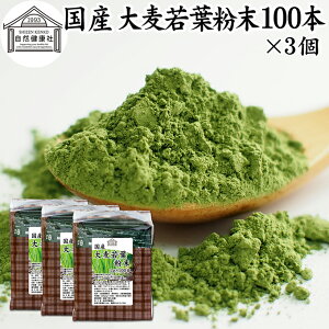 唞t`  100{×3 XeBbN   pE_[ _ Y 100 ۑ Y p Ɩp mJtFC  ŋ   ݂₷  F sgp  