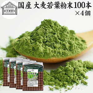 唞t`  100{×4 XeBbN   pE_[ _ Y 100 ۑ Y p Ɩp mJtFC  ŋ   ݂₷  F sgp  