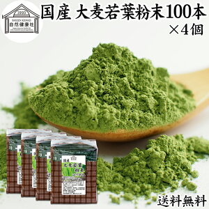 唞t`  100{×4 XeBbN   pE_[ _ Y 100 ۑ Y p Ɩp mJtFC  ŋ   ݂₷  F sgp  