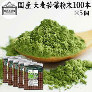 唞t`  100{×5 XeBbN   pE_[ _ Y 100 ۑ Y p Ɩp mJtFC  ŋ   ݂₷  F sgp  