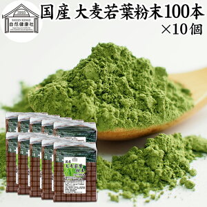 唞t`  100{×10 XeBbN   pE_[ _ Y 100 ۑ Y p Ɩp mJtFC  ŋ   ݂₷  F sgp  