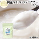 ラクトフェリン パウダー 100g 粉末 ラクトフェリン サプリ 乳酸菌 パウダー サプリメント ビフィズス菌 善玉菌 乳酸…