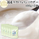 ラクトフェリン パウダー 100g×5個 粉末 ラクトフェリン サプリ 乳酸菌 パウダー サプリメント ビフィズス菌 善玉菌 …