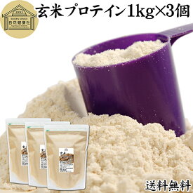 玄米プロテイン 1kg×3個 ブラウンライス 甘くない プロテイン ライス 女性 タンパク質 パウダー こども 高齢者 高校生 お試し 保存料 無添加 粉末 たんぱく質 植物 げんまい アレルゲン なし サプリ サプリメント 大容量 メンズ レディース 置き換え 美容 健康 ファスト