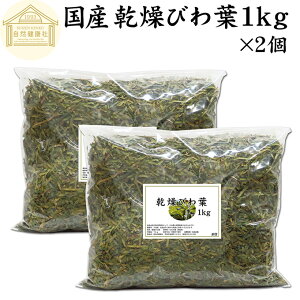  тt 1kg×2 т̗t Y rt r̗t ft f̗t hCn[u Cp ܂ т풃 тt т̗t Ɩp _ 100 Y тtGLX т