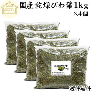  тt 1kg×4 т̗t Y rt r̗t ft f̗t hCn[u Cp ܂ т풃 тt т̗t  Ɩp _ 100 Y тtGLX