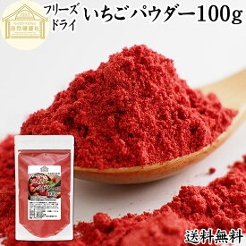 いちごパウダー 100g フリーズドライ いちご パウダー イチゴパウダー 苺パウダー 保存料 無添加 業務用 製菓用 ストロベリーパウダー 苺 100% ストロベリー パウダー 菓子 材料 菓子材料 製菓材料 お菓子 洋菓子 パン パン材料 スイーツ 和菓子 製菓 製パン 材料