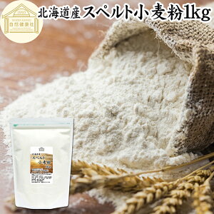 Xyg 1kg Xyg Y kCY 100% ۑ Y Ñ㏬   Ñ㍒ fBP AM[ fBP e Ɩp Hp ِp p ޗ H