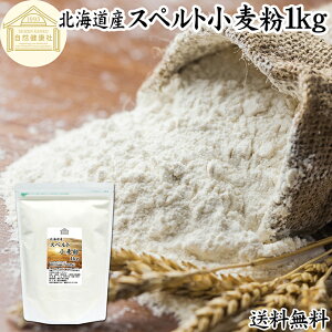 Xyg 1kg Xyg Y kCY 100% ۑ Y Ñ㏬   Ñ㍒ fBP AM[ fBP e Ɩp Hp ِp p ޗ H