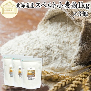 Xyg 1kg×3 Xyg Y kCY 100% ۑ Y Ñ㏬   Ñ㍒ fBP AM[ fBP e Ɩp p ِp p ޗ 