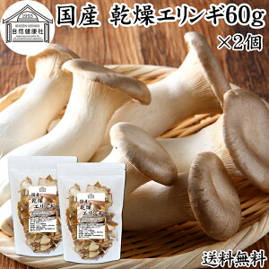 GM 60g×2  ̂ GM _ ̂ Y 쌧Y 100  hC Ɩp ۑ Y  LmR pX^ ]bg  X` ݂`  \o ǂ 