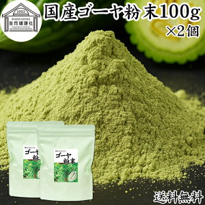 ゴーヤ粉末 100g×2個 青汁 粉末 お試し 国産 ゴーヤ パウダー 保存料 無添加 あおじる 粉末 野菜 ジュース ゴーヤー茶 ゴーヤ茶 ごーやー茶 ごーや茶 ごーやー 自然健康社 おすすめ おいしい