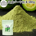 ゴーヤ粉末 380g 青汁 粉末 国産 ゴーヤー茶 ゴーヤ茶 ゴーヤ パウダー 保存料 無添加 あおじる 粉末 野菜 ジュース ごーやー茶 ごーや茶 ごーやーパウダー 自然健康社 おすすめ おいしい お得 サプリメント 便利 ランキング スムージー まるごと ヴィーガン 売れ筋 丸ごと