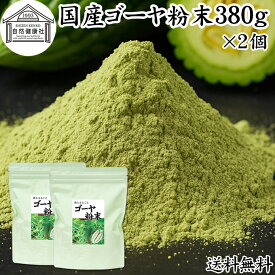 ゴーヤ粉末 380g×2個 青汁 粉末 国産 ゴーヤー茶 ゴーヤ茶 ゴーヤ パウダー 保存料 無添加 あおじる 粉末 野菜 ジュース ごーやー茶 ごーや茶 ごーやーパウダー 自然健康社 おすすめ おいしい お得 サプリメント ランキング スムージー まるごと ヴィーガン 売れ筋 丸ごと