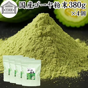 ゴーヤ粉末 380g×4個 青汁 粉末 国産 ゴーヤー茶 ゴーヤ茶 ゴーヤ パウダー 保存料 無添加 あおじる 粉末 野菜 ジュース ごーやー茶 ごーや茶 ごーやーパウダー 自然健康社 おすすめ おいしい