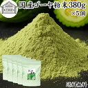 ゴーヤ粉末 380g×5個 青汁 粉末 国産 ゴーヤー茶 ゴーヤ茶 ゴーヤ パウダー 保存料 無添加 あおじる 粉末 野菜 ジュース ごーやー茶 ごーや茶 ごーやーパウダー 自然健康社 おすすめ おいしい お得 サプリメント ランキング スムージー まるごと ヴィーガン 売れ筋 丸ごと