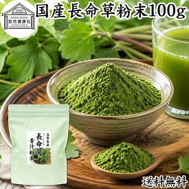 長命草粉末 100g 長命草 パウダー 青汁 サプリ サプリメント ボタンボウフウ 牡丹防風 ポリフェノール クロロゲン酸 ルチン 国産 奄美 喜界島 鹿児島 サクナ 保存料 無添加 無農薬 おすすめ ランキング 美味しい お得 おいしい 便利 お試し ヴィーガン 売れ筋 ビーガン