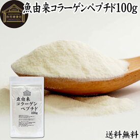 魚コラーゲンペプチド 100g 粉末 パウダー サプリ サプリメント コラーゲン ペプチド 魚 由来 フィッシュ マリン 超低分子 100% 保存料 無添加 無着色 無香料 純粋 動物性 水溶性 たんぱく質 飲料 健康 食品 美容 スキンケア collagen アミノ酸 コーヒー お茶 ジュース