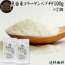 魚コラーゲンペプチド 100g×2個 粉末 パウダー サプリ サプリメント コラーゲン ペプチド 魚 由来 フィッシュ マリン 超低分子 100% 保存料 無添加 無着色 無香料 純粋 動物性 水溶性 たんぱく質 飲料 健康 食品 美容 スキンケア collagen アミノ酸 コーヒー お茶 ジュース