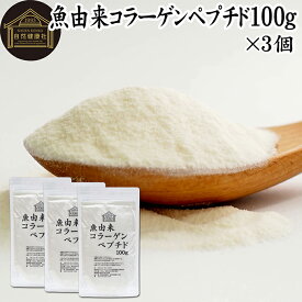魚コラーゲンペプチド 100g×3個 粉末 パウダー サプリ サプリメント コラーゲン ペプチド 魚 由来 フィッシュ マリン 超低分子 100% 保存料 無添加 無着色 無香料 純粋 動物性 水溶性 たんぱく質 飲料 健康 食品 美容 スキンケア collagen アミノ酸 コーヒー お茶 ジュース