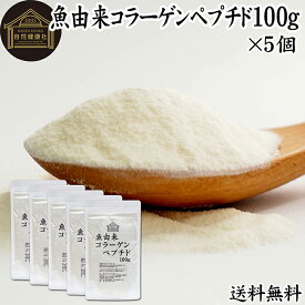 魚コラーゲンペプチド 100g×5個 粉末 パウダー サプリ サプリメント コラーゲン ペプチド 魚 由来 フィッシュ マリン 超低分子 100% 保存料 無添加 無着色 無香料 純粋 動物性 水溶性 たんぱく質 飲料 健康 食品 美容 スキンケア collagen アミノ酸 コーヒー お茶 ジュース